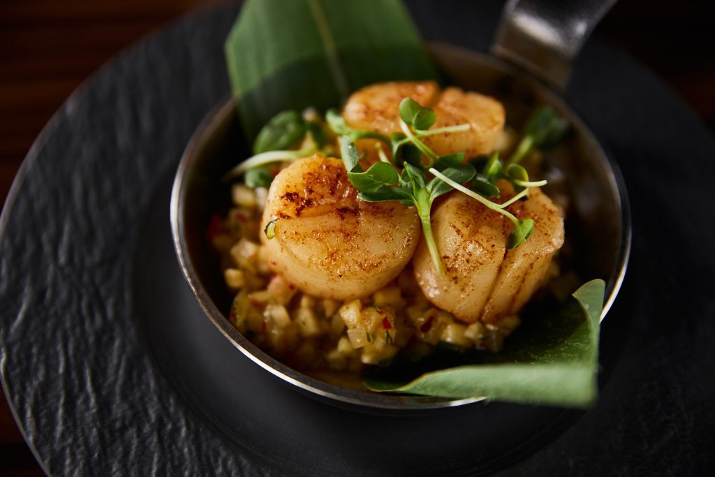 delicious grilled scallops with green leaves and microgreens